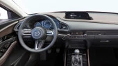 Sticlă de protecție Pixsel monitor MAZDA CX-30 - 13“ 2018 - 2023